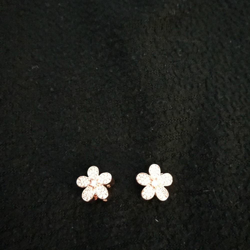 Pandora rose charm.